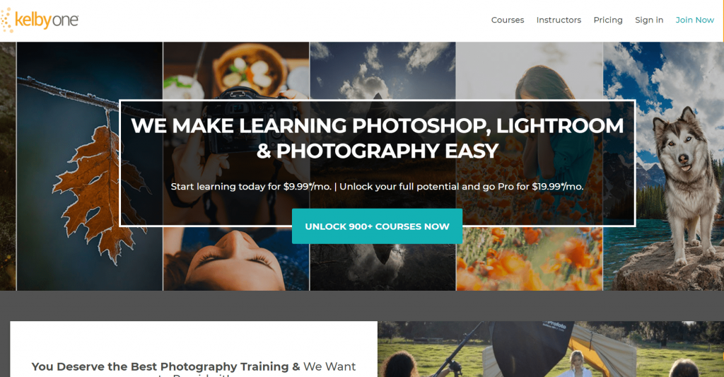 KelbyOne Review