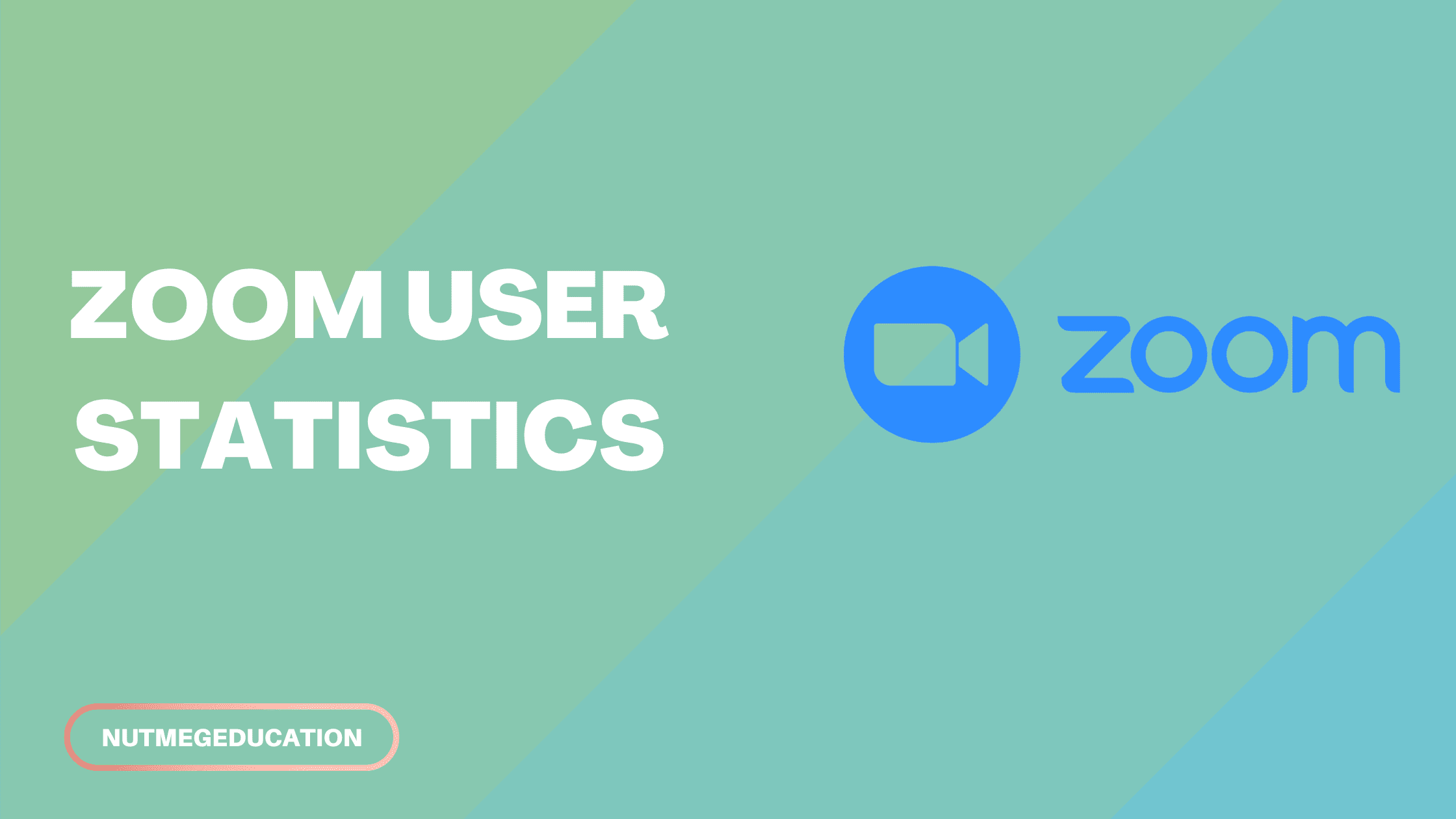 Zoom User Statistics