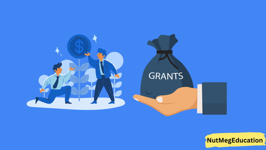 Ways To Get Fundings And Grants